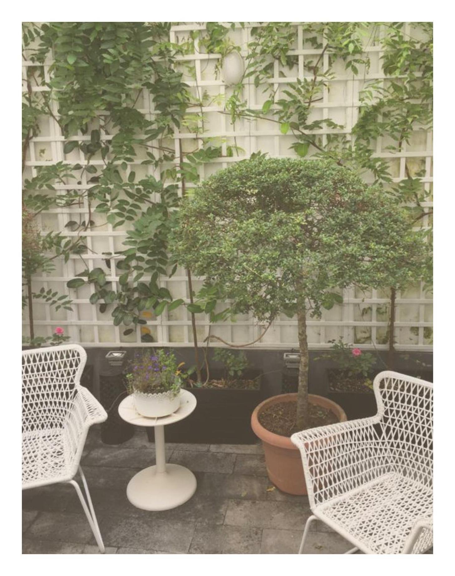 Casa Physalis Bed and Breakfast Ponta Delgada Buitenkant foto